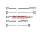 1612444 Ignition Wire Set