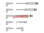 1612545 Ignition Wire Set