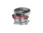 7701466850 Water Pump