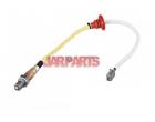 0258006696 Oxygen Sensor