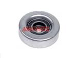 7700860883 Idler Pulley