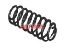 F6333001 Coil Spring