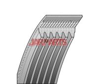 6PK1155 V-Ribbed Belt